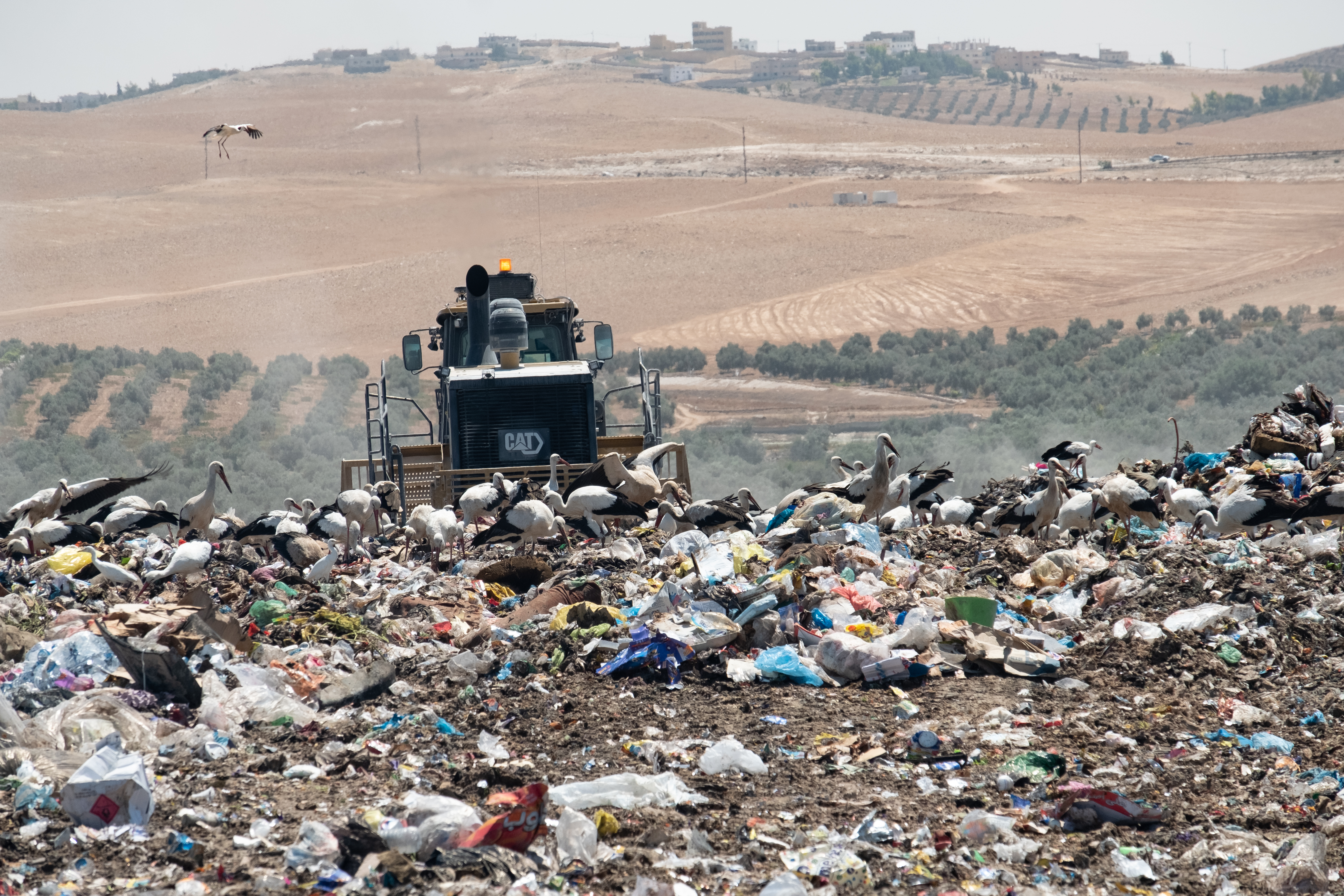 Jordan Waste Management Smalll-2-41