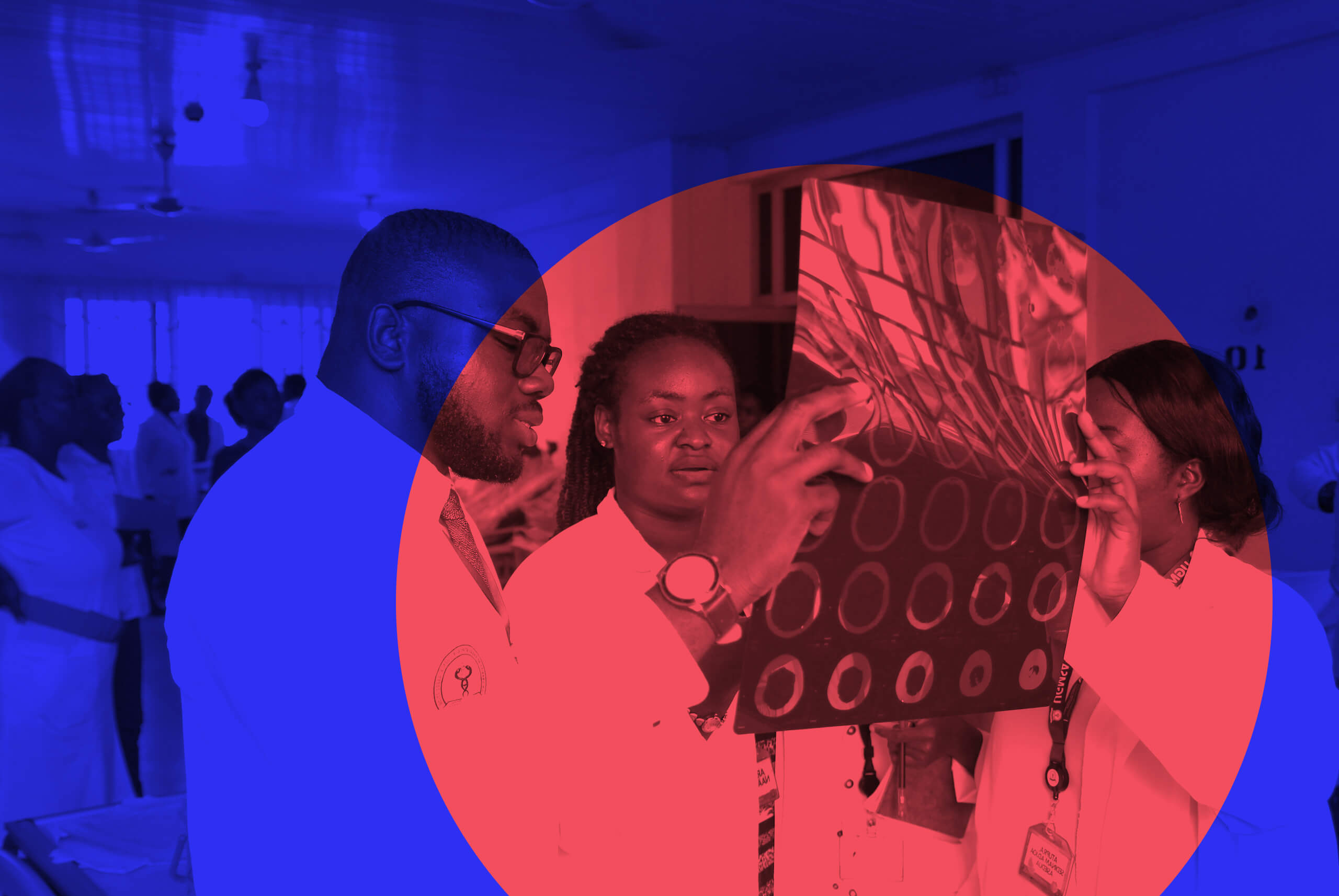 lot11_header_1