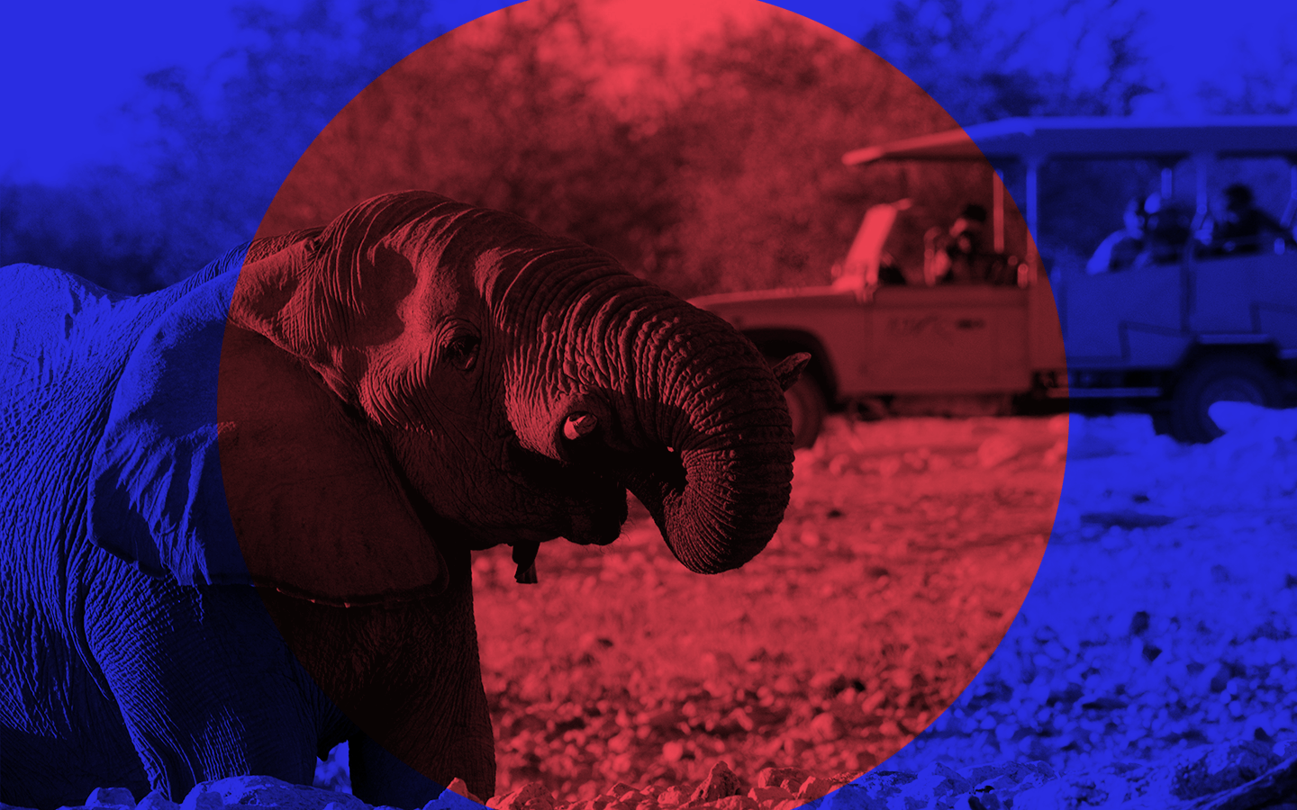 lot16_header_1