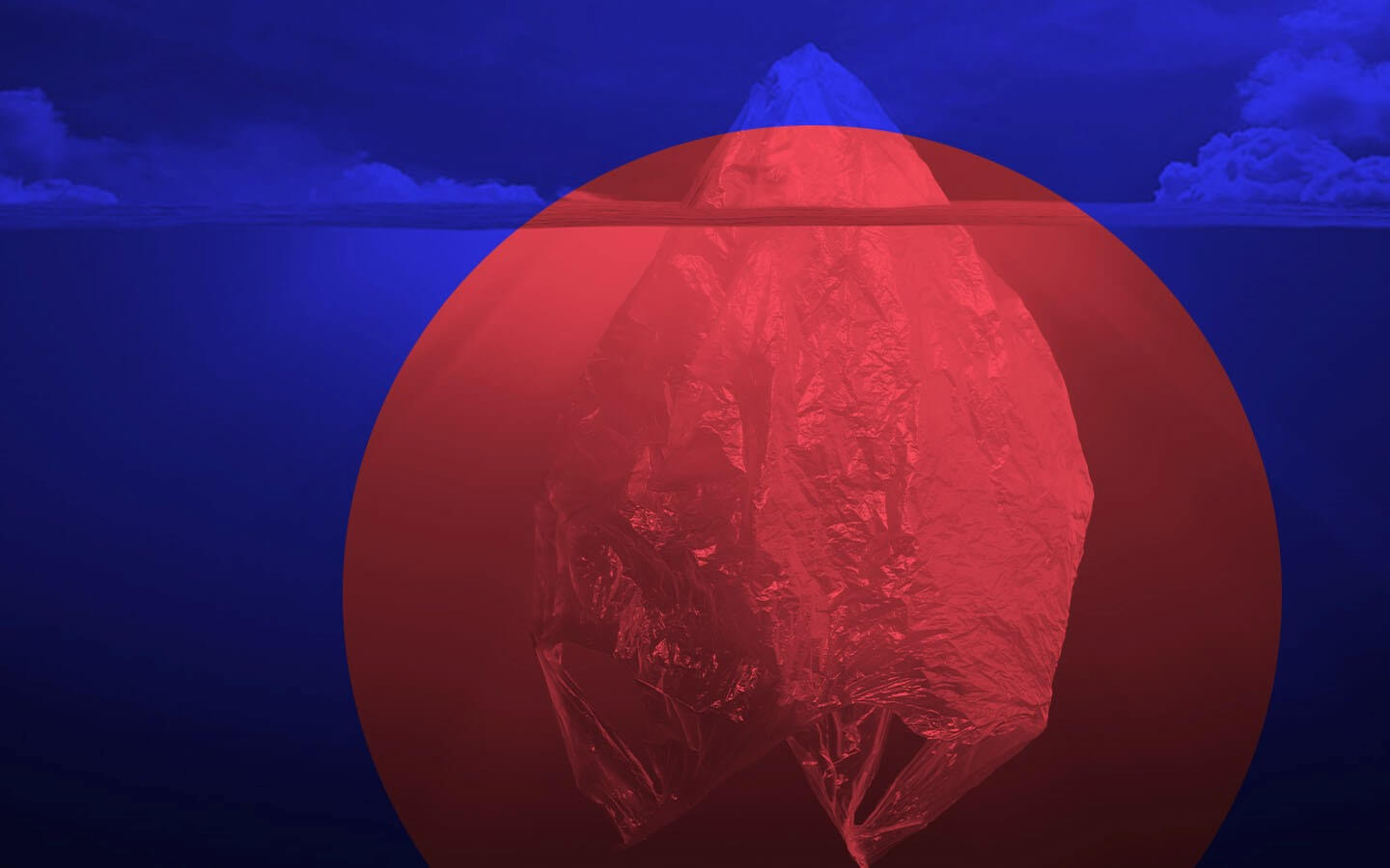 lot8_header_1